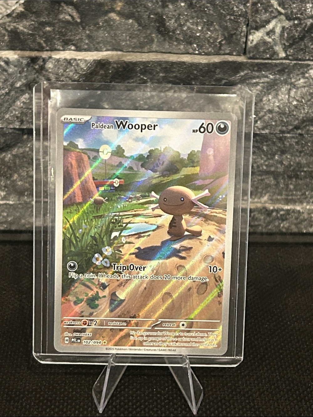 Pokemon Paldean Wooper 102/094 Illustration Rare Holo from Phantasmal Flames Set